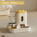 Automatic Pet Feeder & Fountain