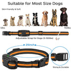 Remote Dog Training Collar