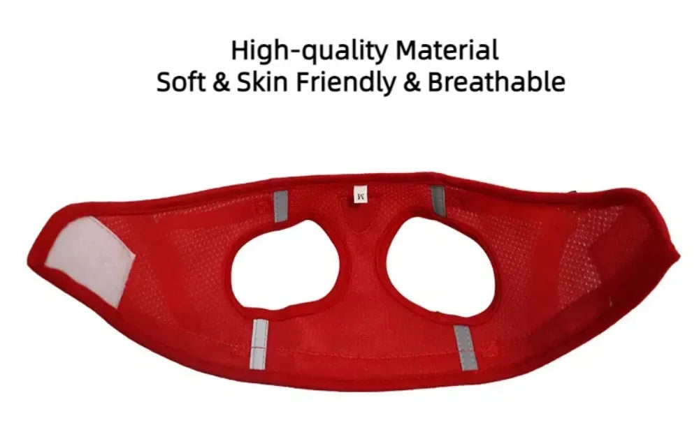 Adjustable Reflective Cat Harness