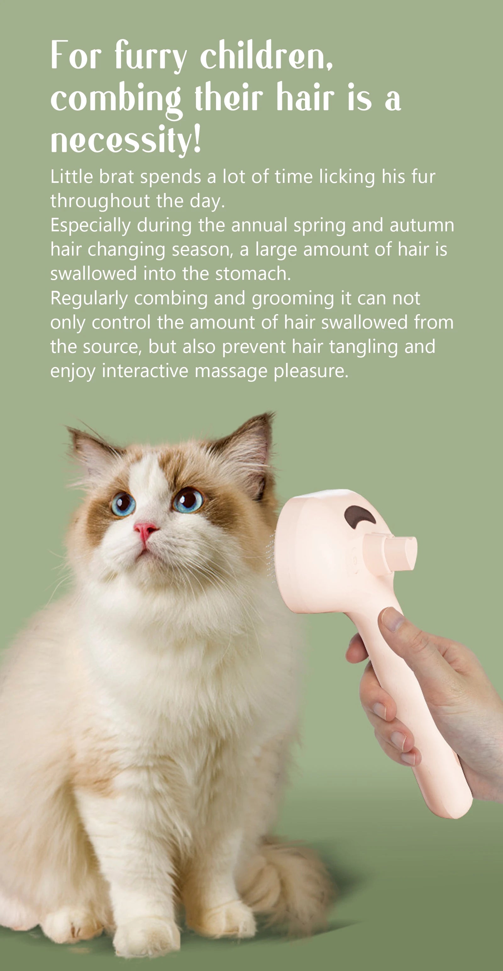 Steam Grooming Pet Brush