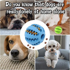 Interactive Treat Ball Toy