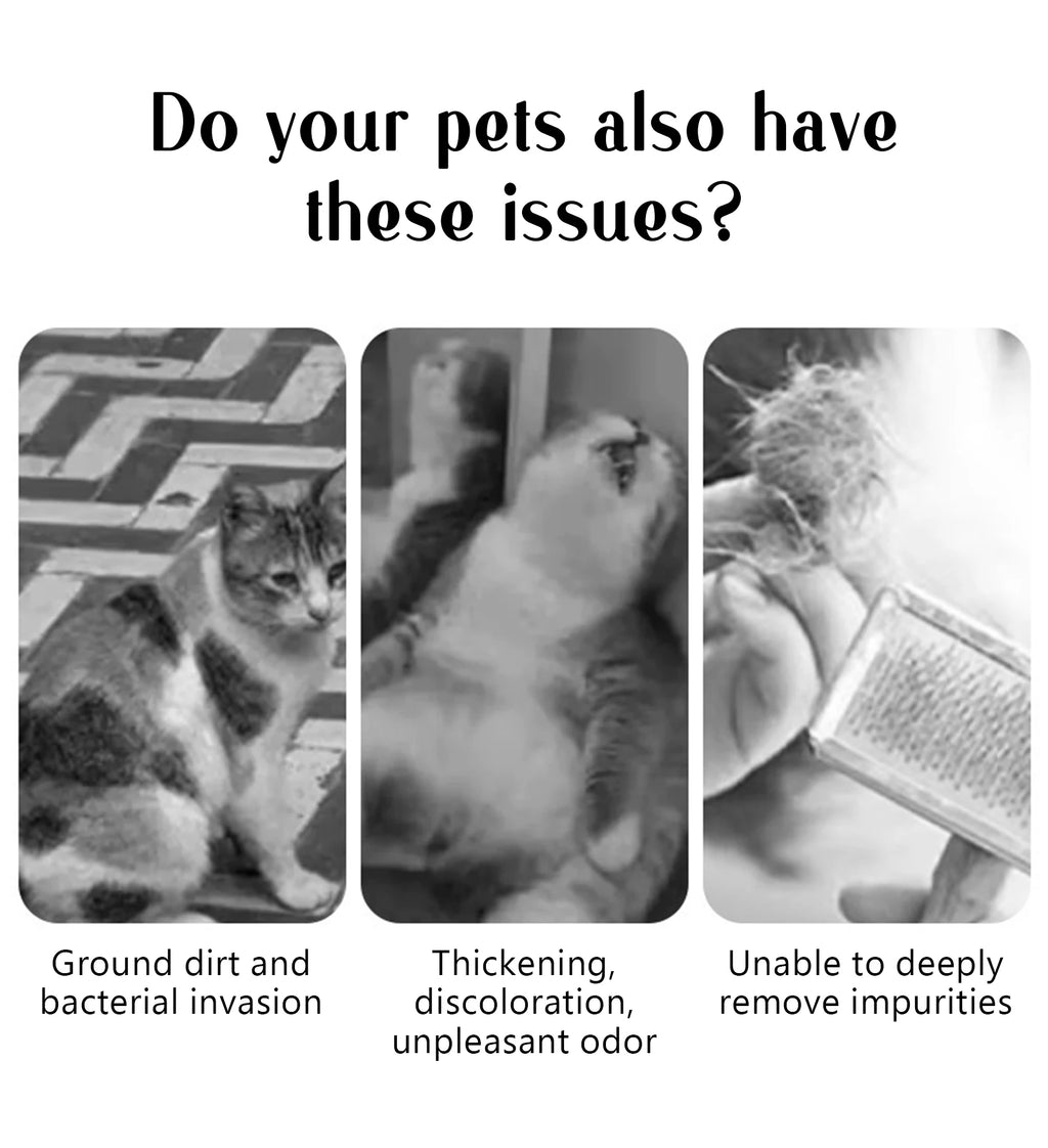 Steam Grooming Pet Brush