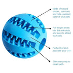 Interactive Treat Ball Toy