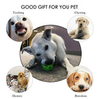 Interactive Treat Ball Toy