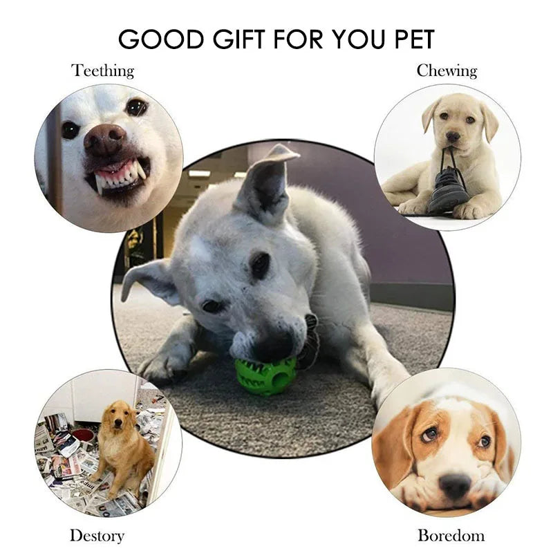 Interactive Treat Ball Toy