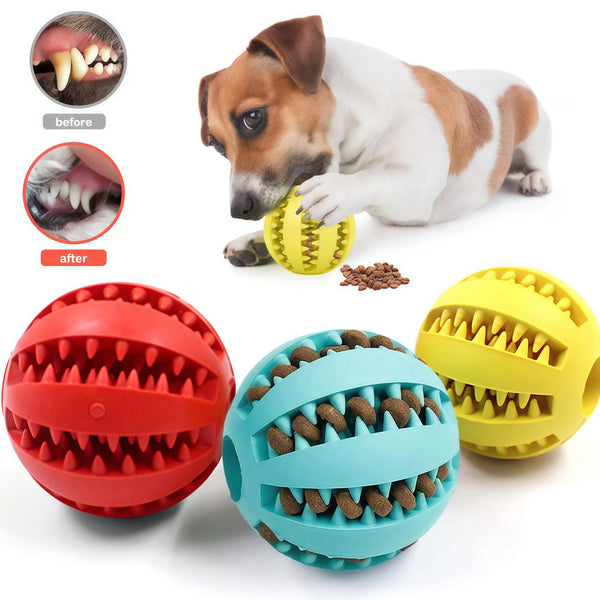 Interactive Treat Ball Toy
