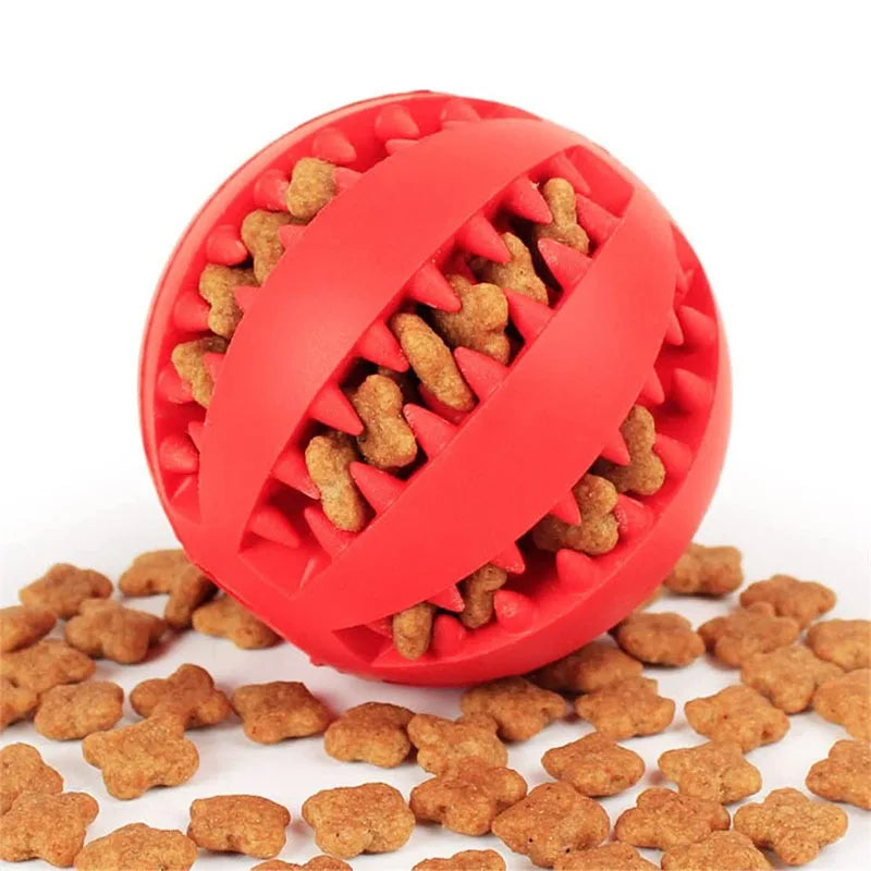 Interactive Treat Ball Toy