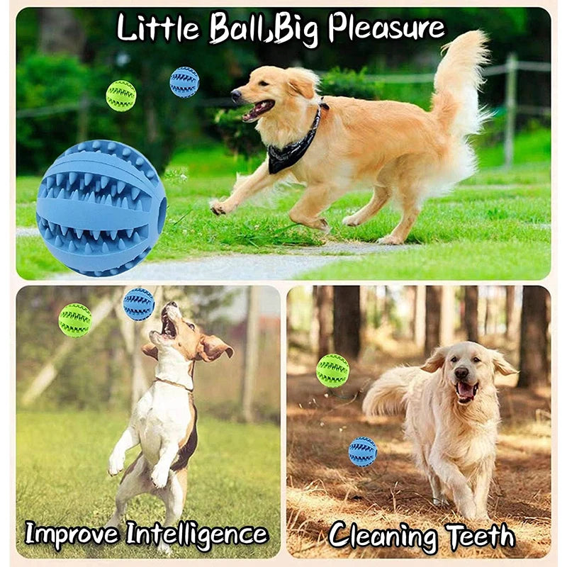 Interactive Treat Ball Toy