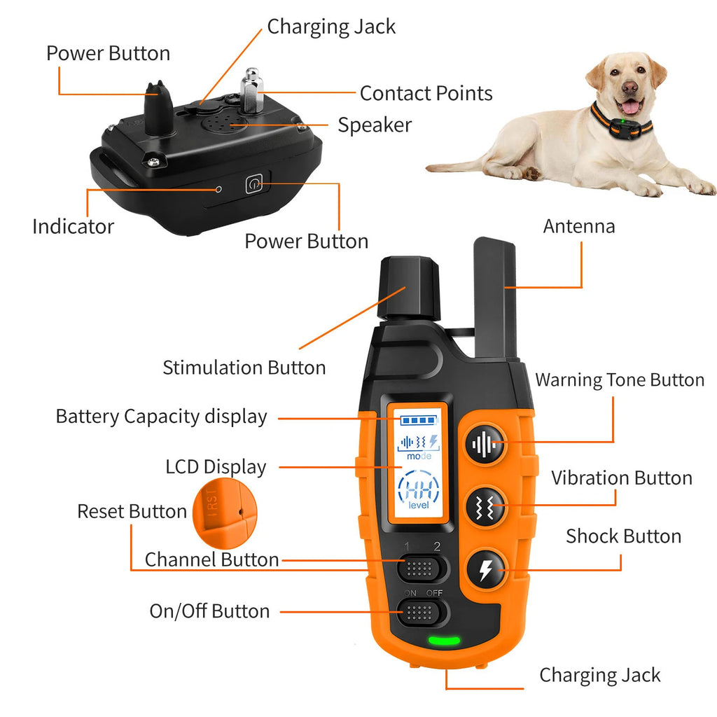 Remote Dog Training Collar