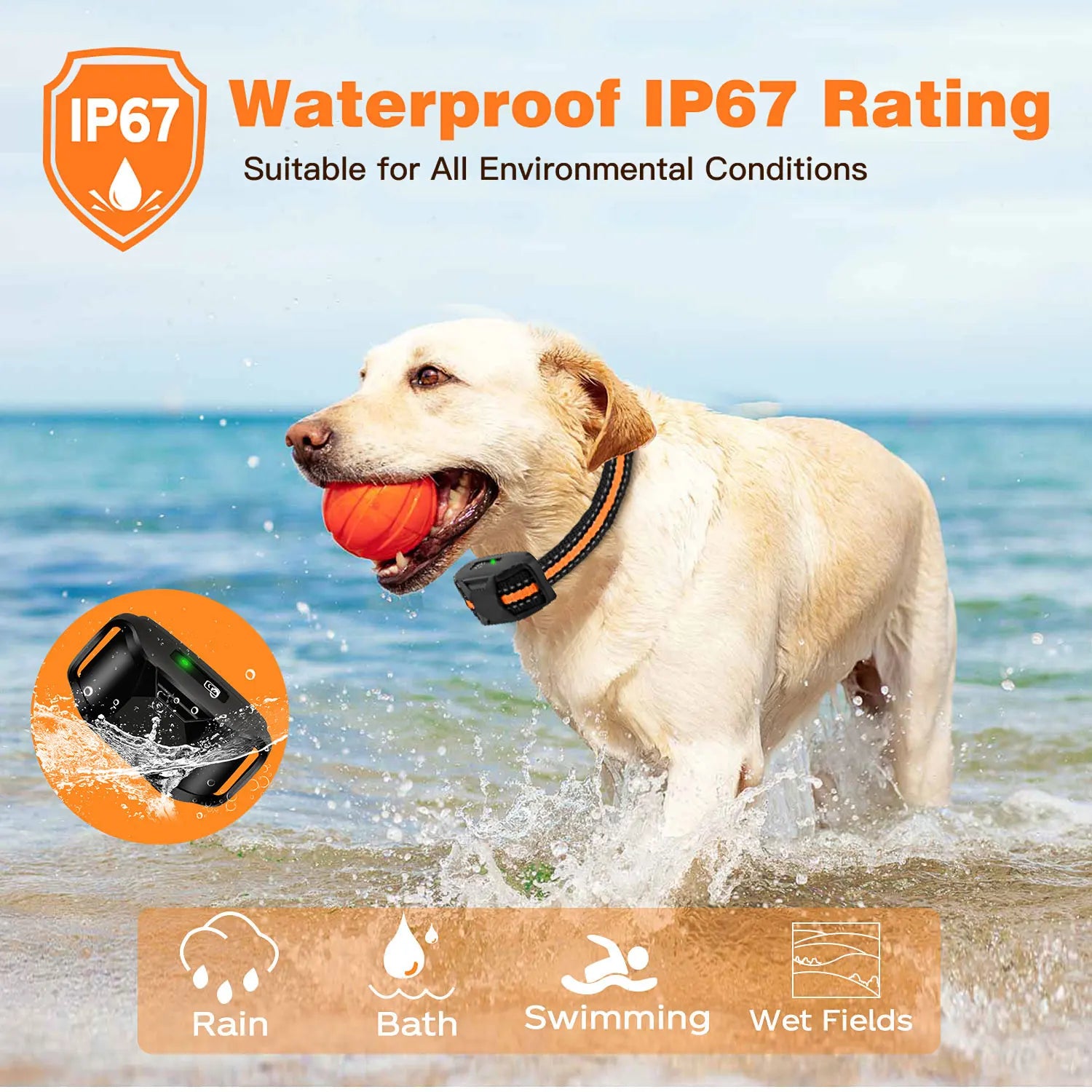 Remote Dog Training Collar