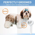Steam Grooming Pet Brush