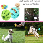 Interactive Treat Ball Toy