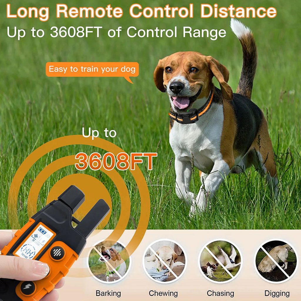 Remote Dog Training Collar
