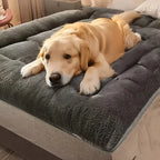 Plush Extra Large Dog Bed