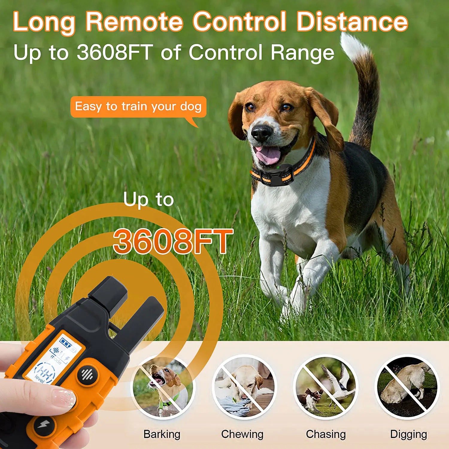 Remote Dog Training Collar