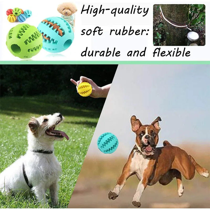 Interactive Treat Ball Toy
