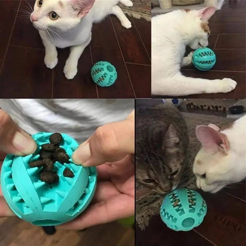 Interactive Treat Ball Toy