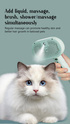 Steam Grooming Pet Brush